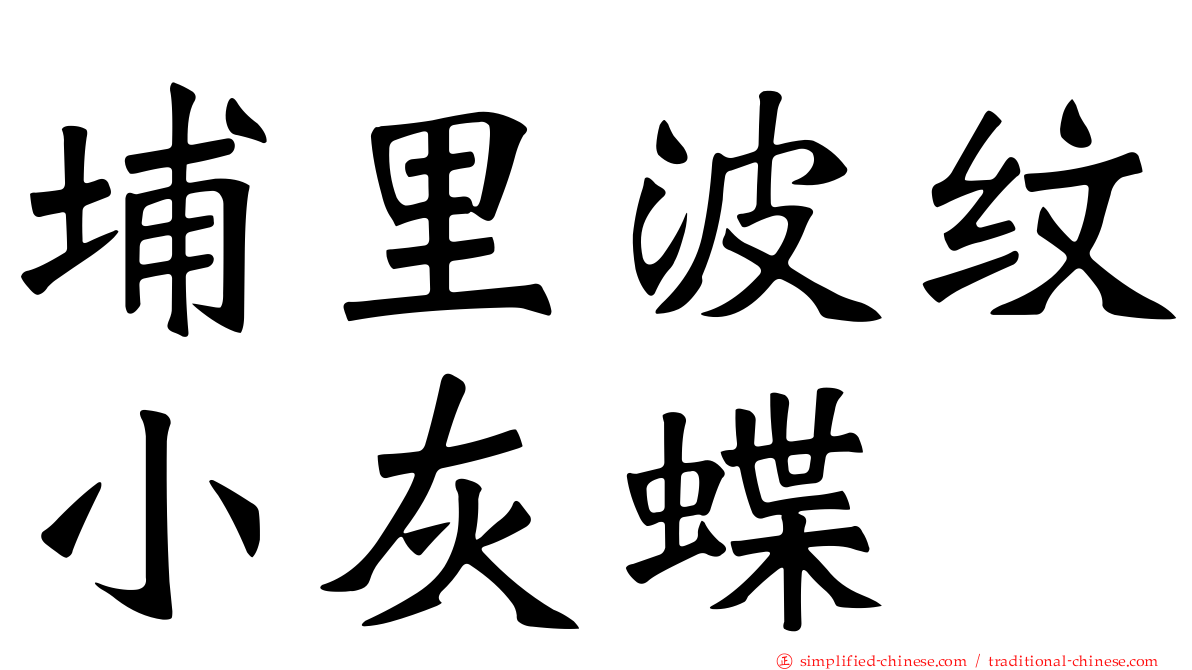 埔里波纹小灰蝶