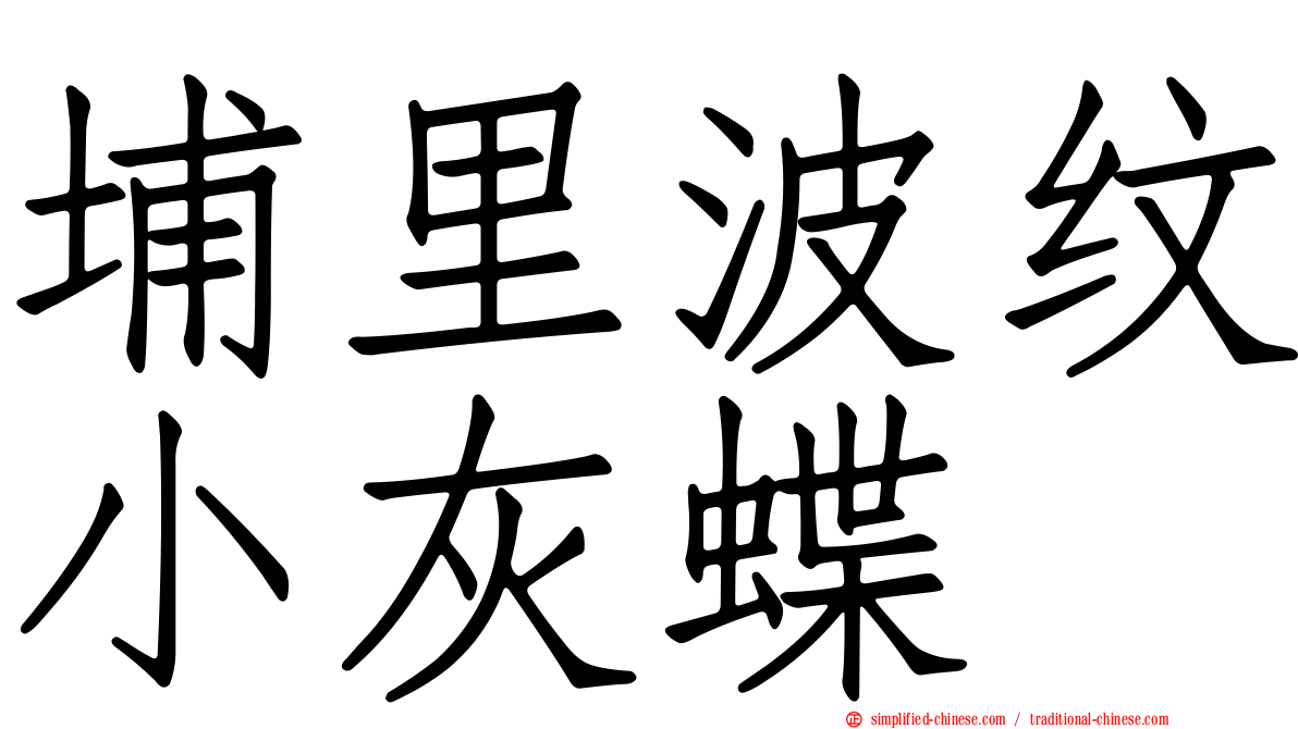 埔里波纹小灰蝶