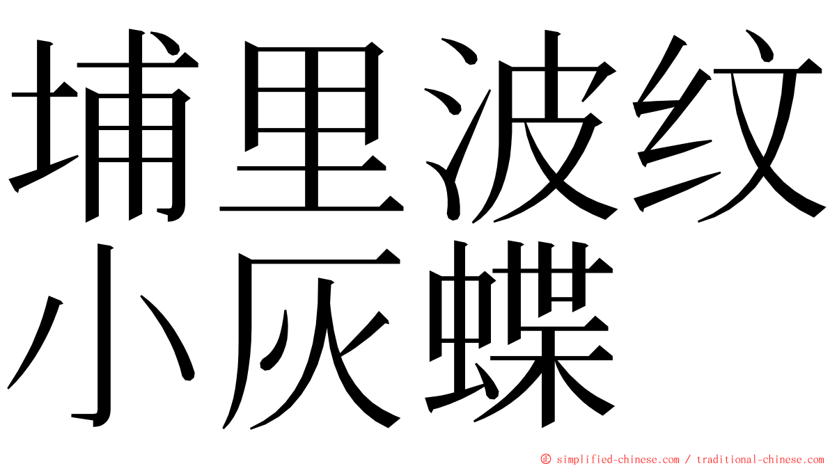 埔里波纹小灰蝶 ming font