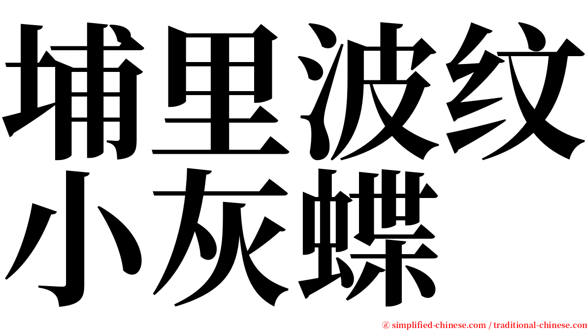 埔里波纹小灰蝶 serif font