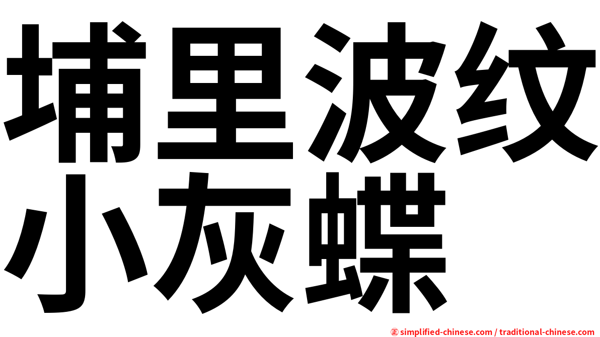 埔里波纹小灰蝶