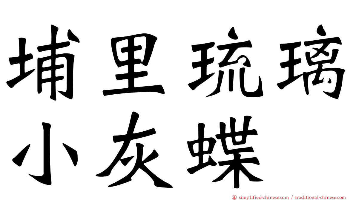 埔里琉璃小灰蝶