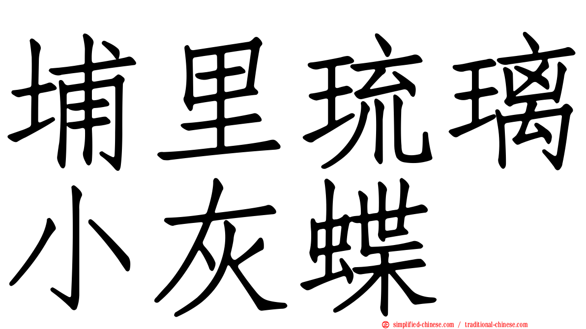 埔里琉璃小灰蝶
