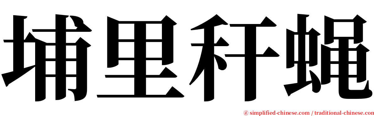 埔里秆蝇 serif font