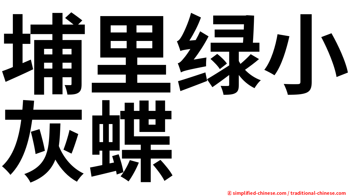 埔里绿小灰蝶