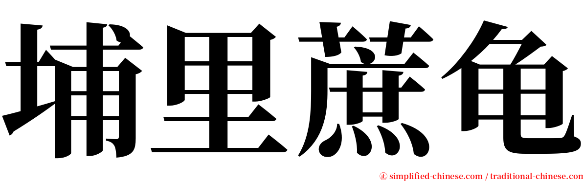 埔里蔗龟 serif font