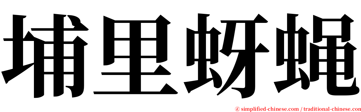 埔里蚜蝇 serif font