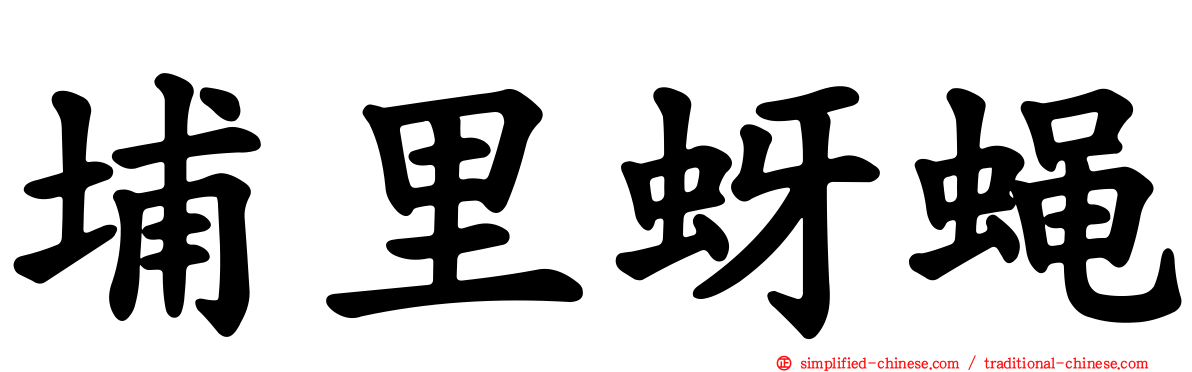 埔里蚜蝇
