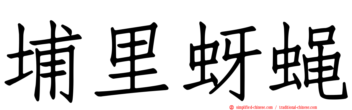 埔里蚜蝇