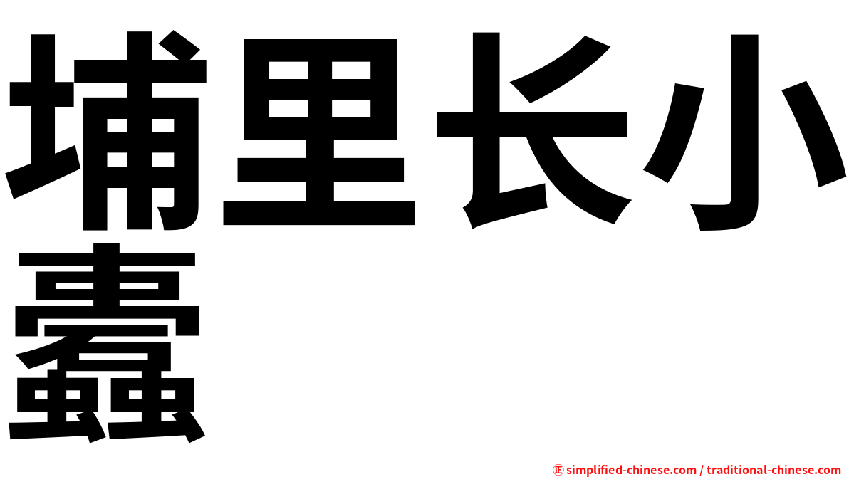 埔里长小蠹