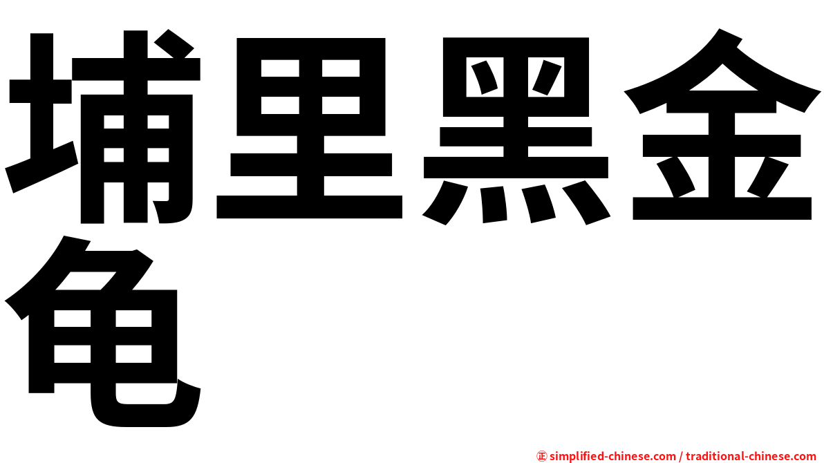 埔里黑金龟