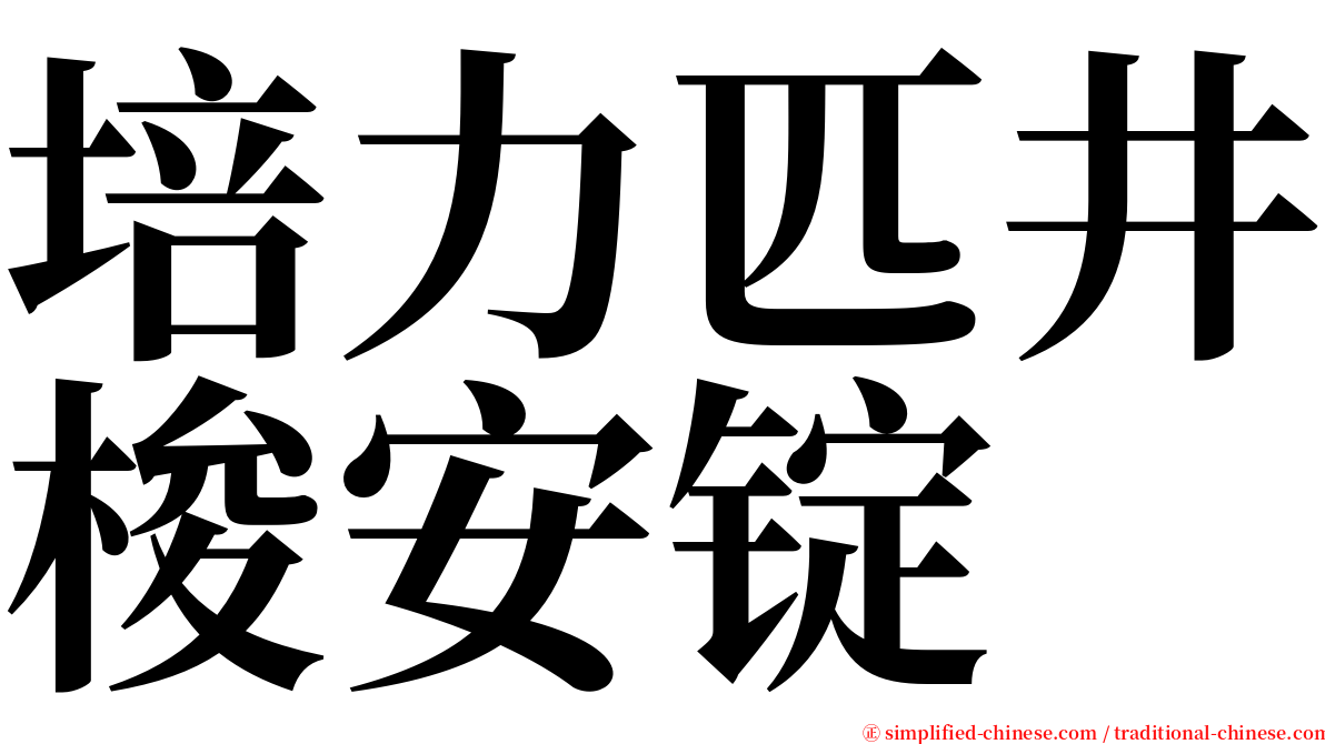 培力匹井梭安锭 serif font