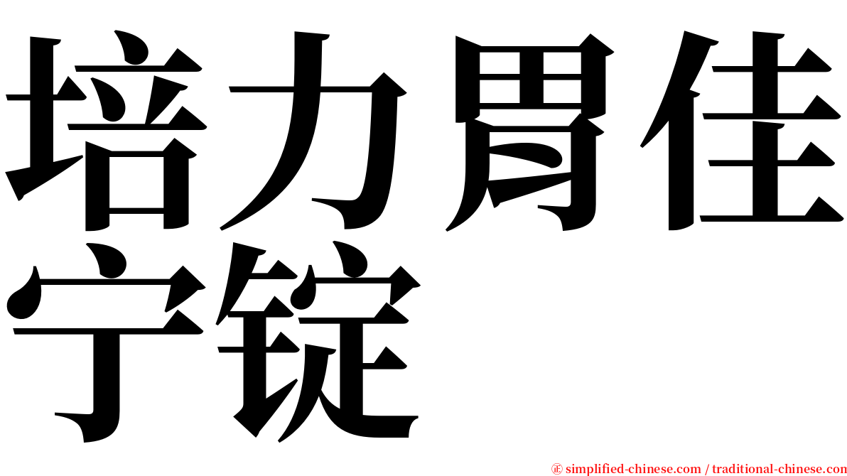 培力胃佳宁锭 serif font