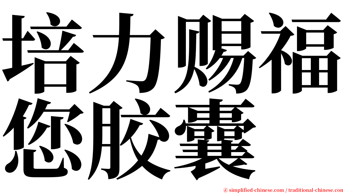 培力赐福您胶囊 serif font