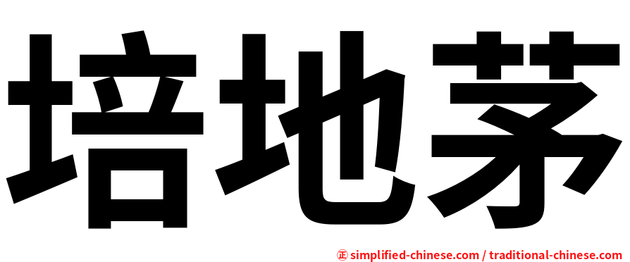 培地茅
