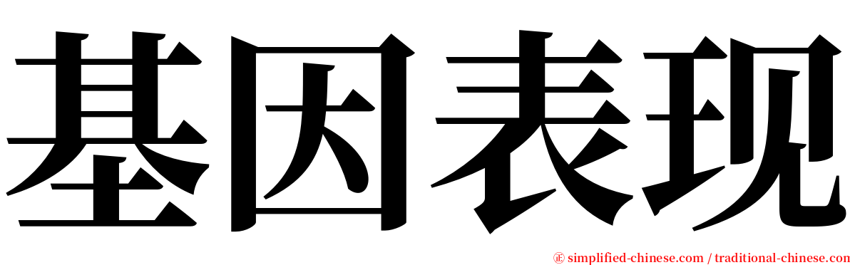 基因表现 serif font