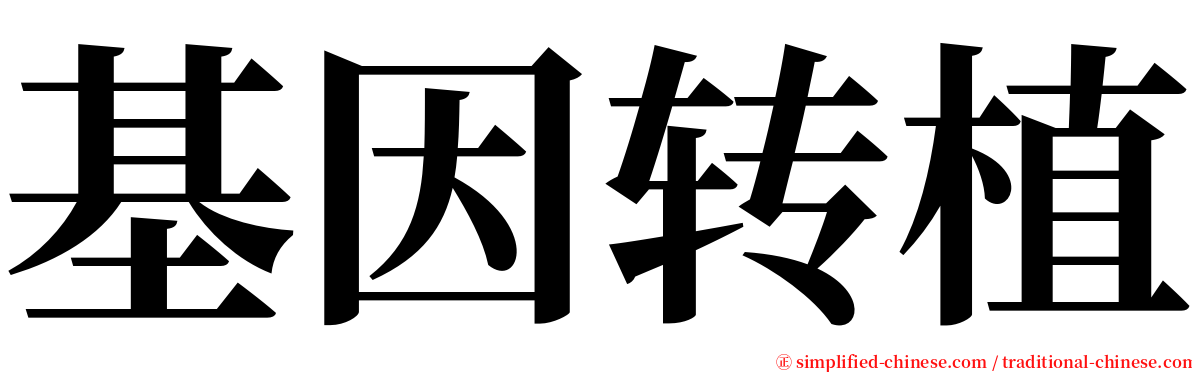 基因转植 serif font