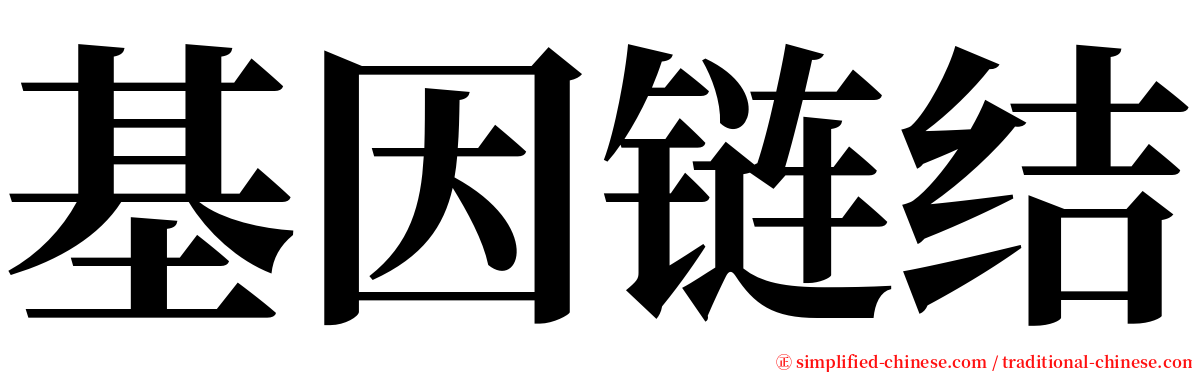 基因链结 serif font