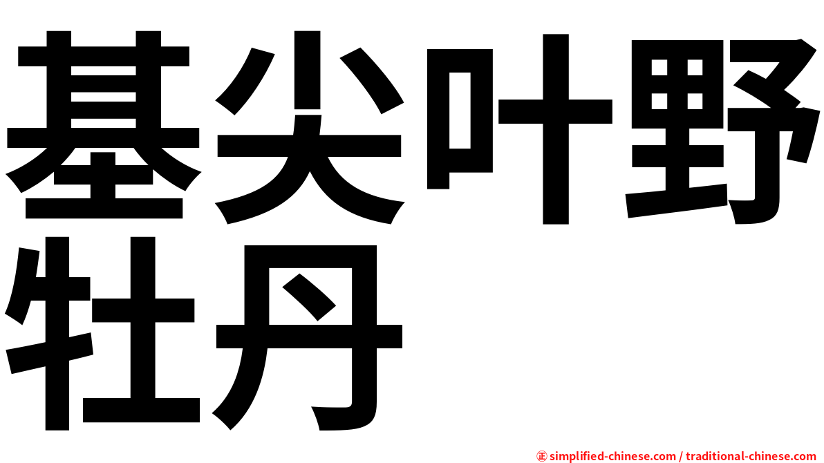 基尖叶野牡丹