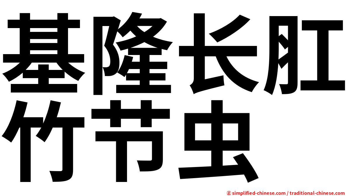 基隆长肛竹节虫