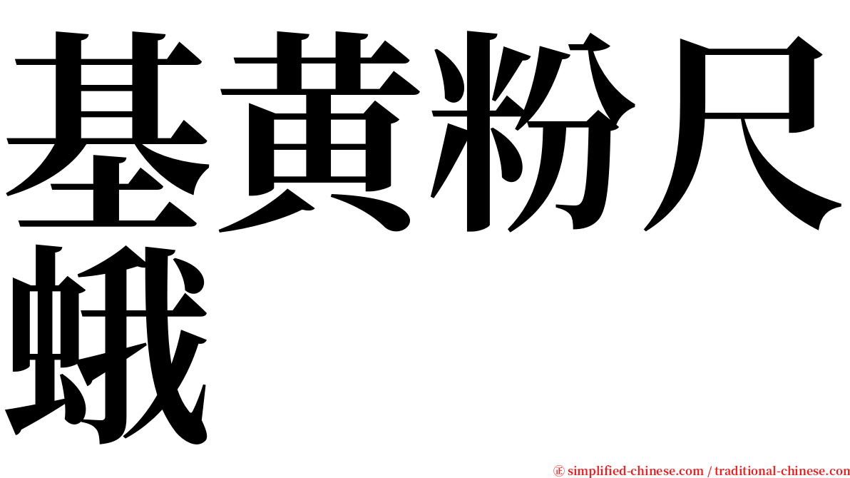 基黄粉尺蛾 serif font