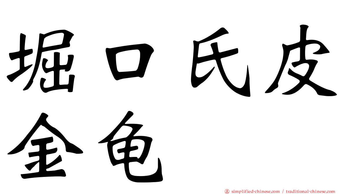 堀口氏皮金龟