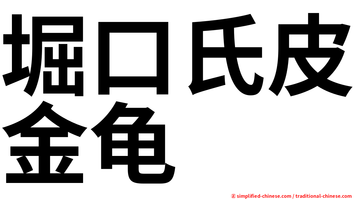 堀口氏皮金龟