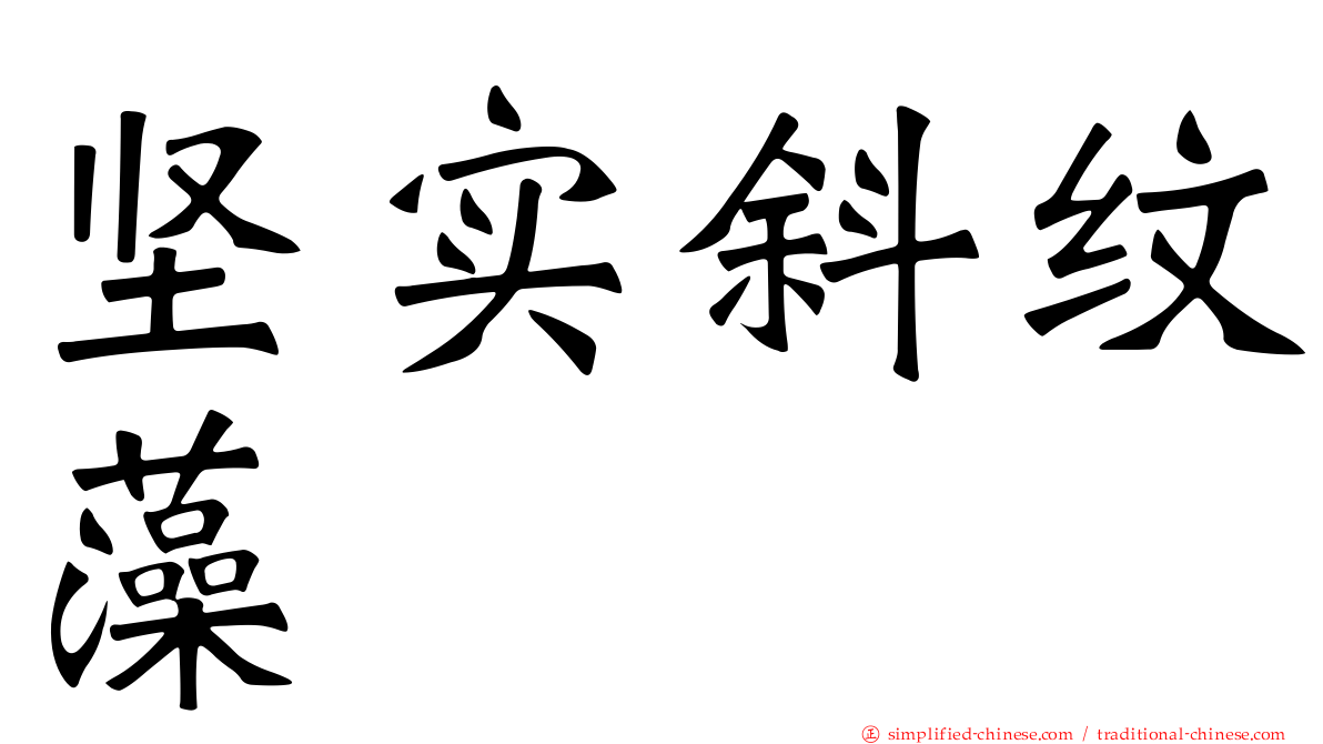 坚实斜纹藻