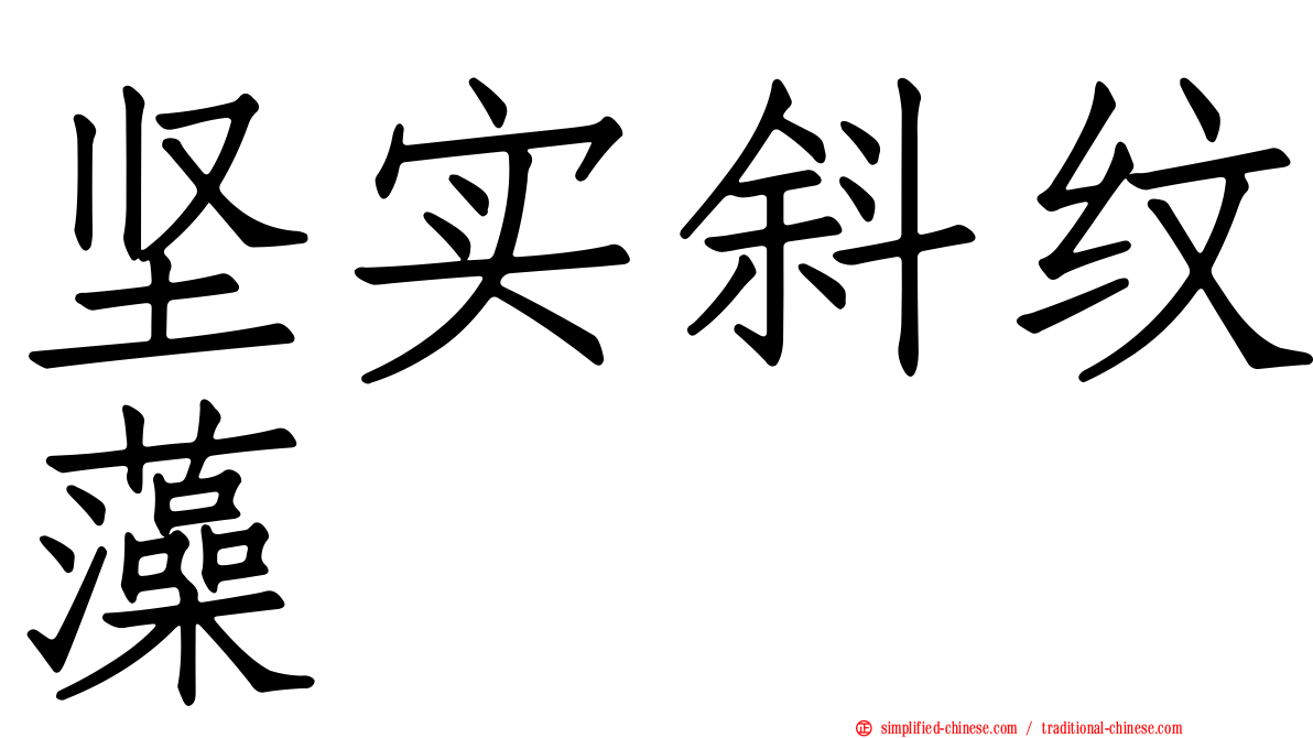 坚实斜纹藻