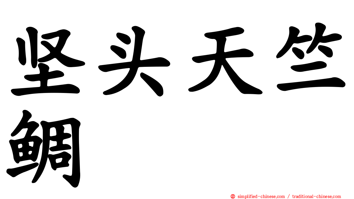坚头天竺鲷
