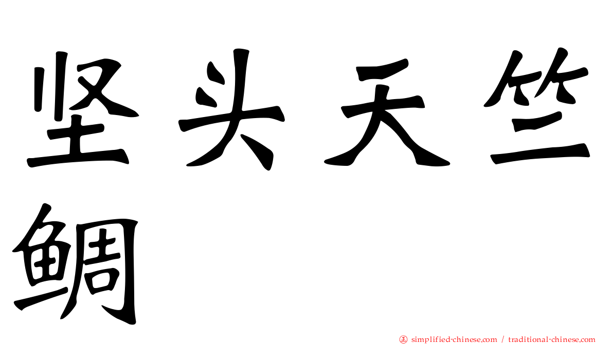 坚头天竺鲷