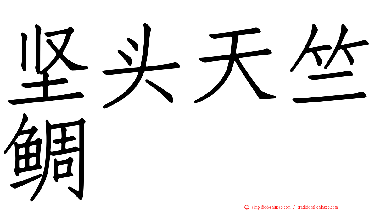 坚头天竺鲷