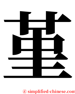 堇 serif font