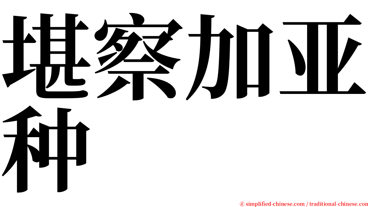堪察加亚种 serif font