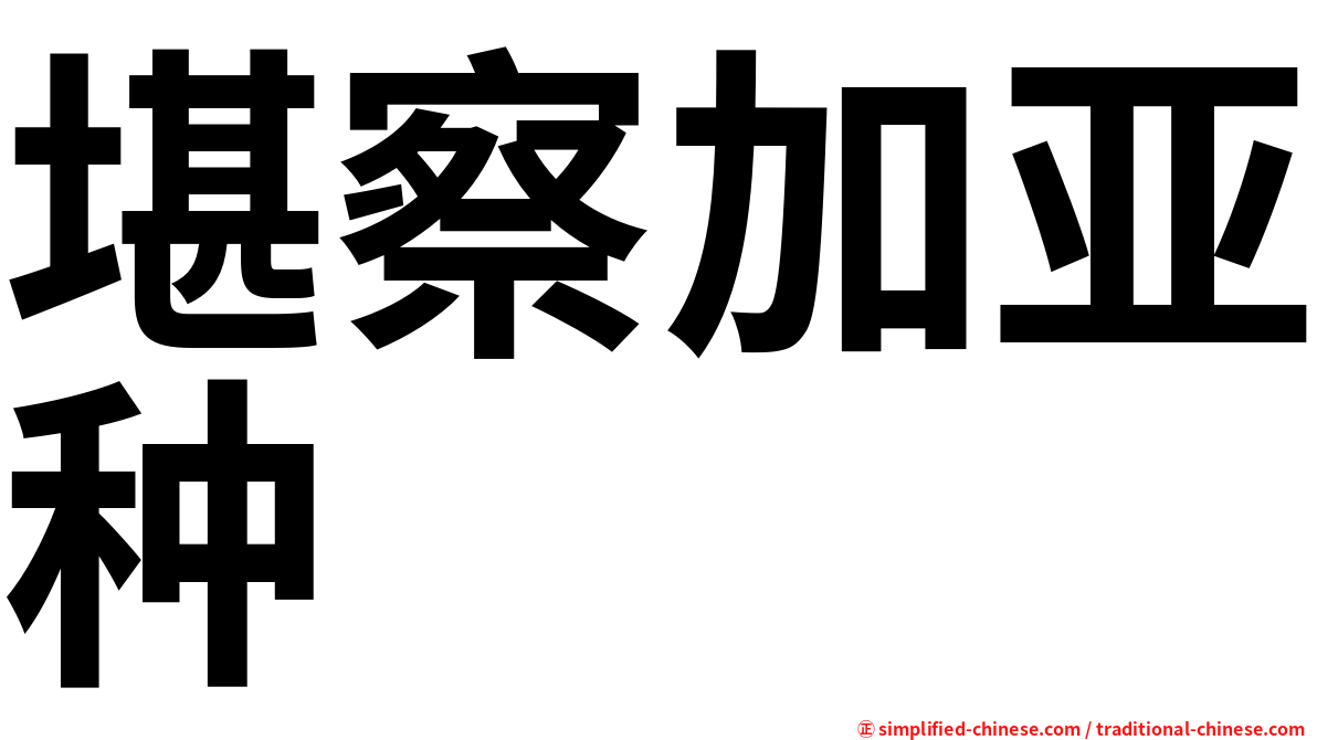 堪察加亚种
