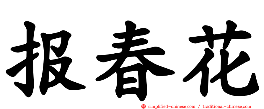 报春花