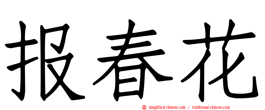 报春花