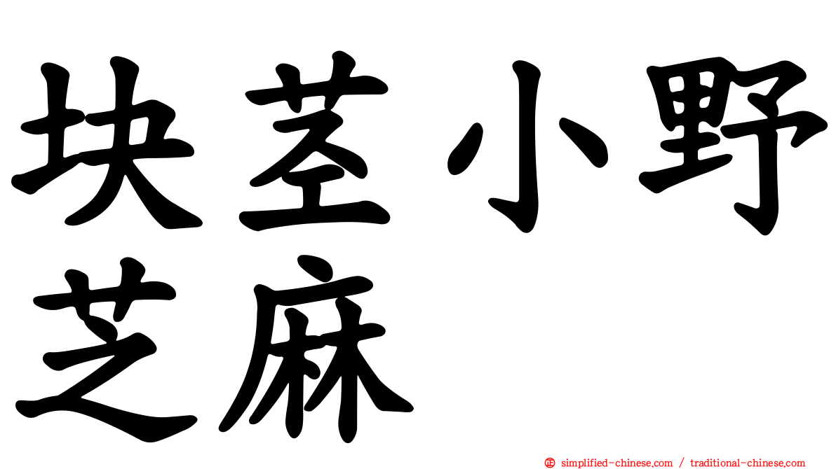 块茎小野芝麻