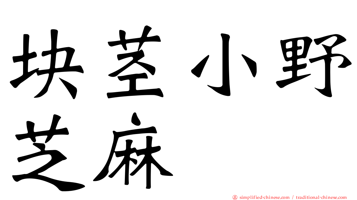 块茎小野芝麻