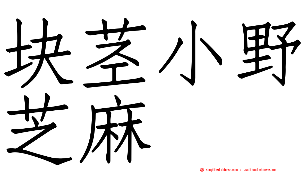 块茎小野芝麻