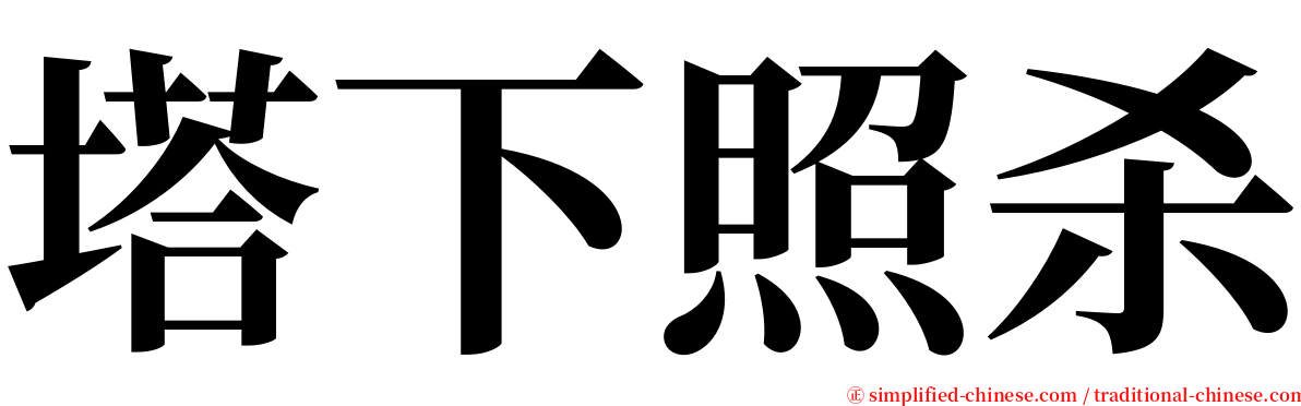 塔下照杀 serif font