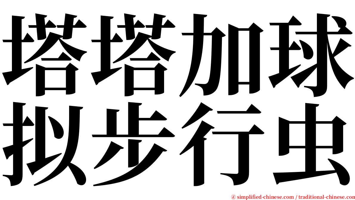 塔塔加球拟步行虫 serif font