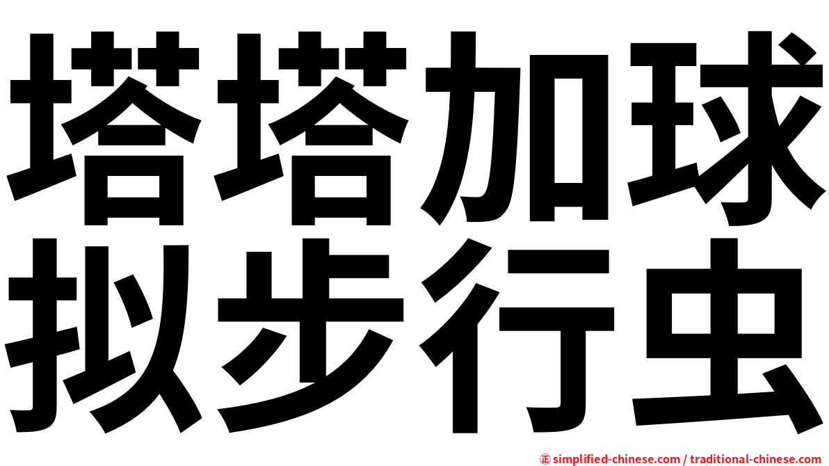 塔塔加球拟步行虫