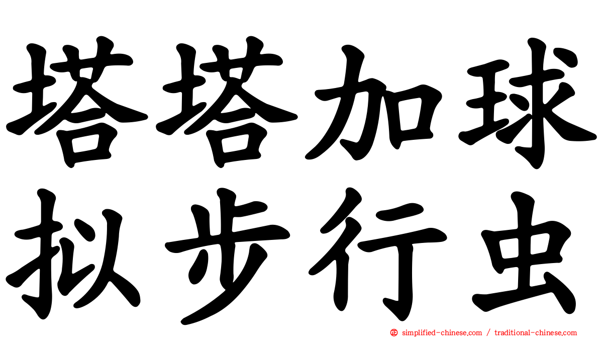 塔塔加球拟步行虫