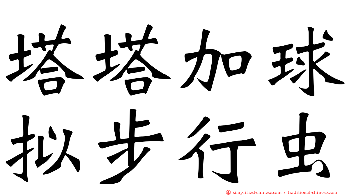 塔塔加球拟步行虫