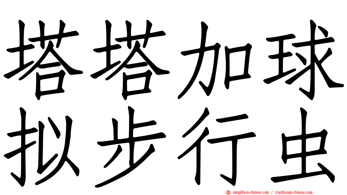 塔塔加球拟步行虫