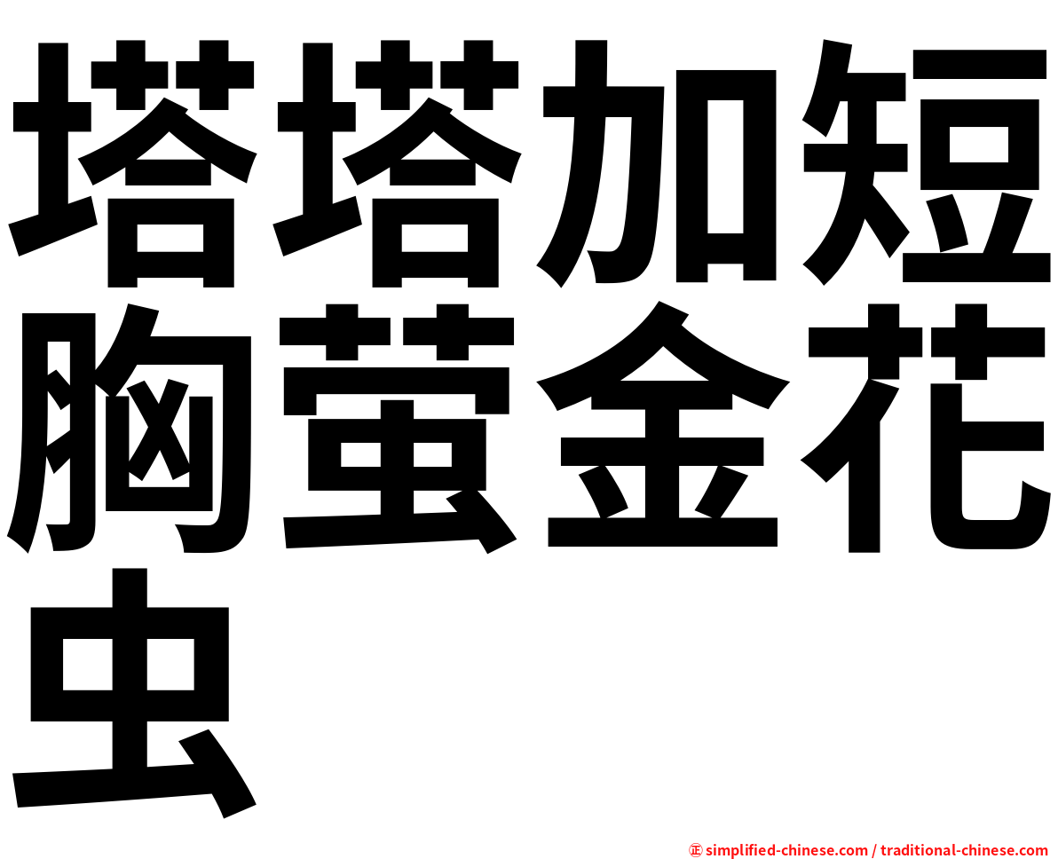 塔塔加短胸萤金花虫