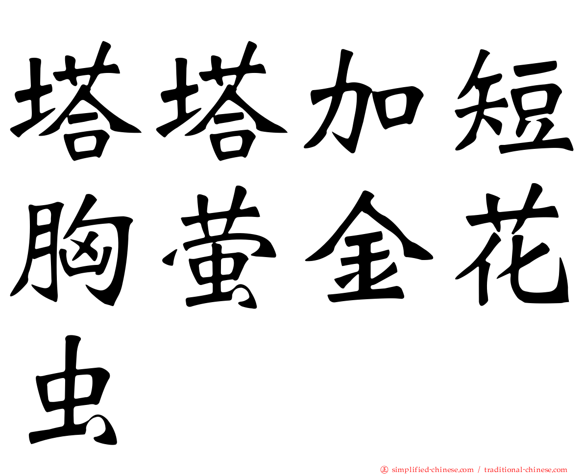 塔塔加短胸萤金花虫