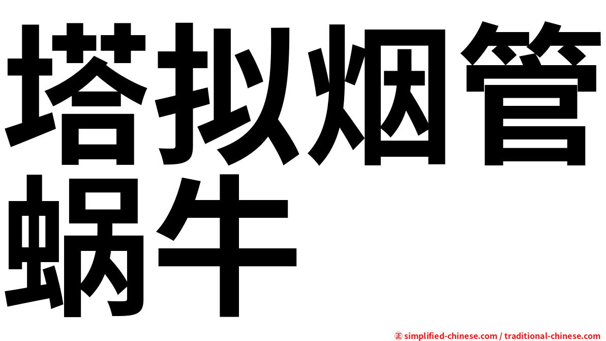 塔拟烟管蜗牛