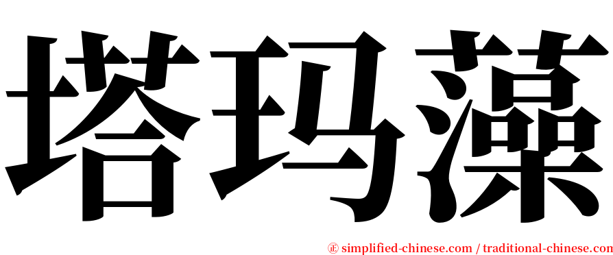 塔玛藻 serif font